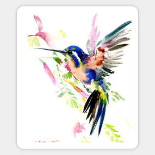 Flying Hummingbird Sticker